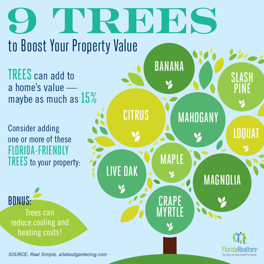Trees